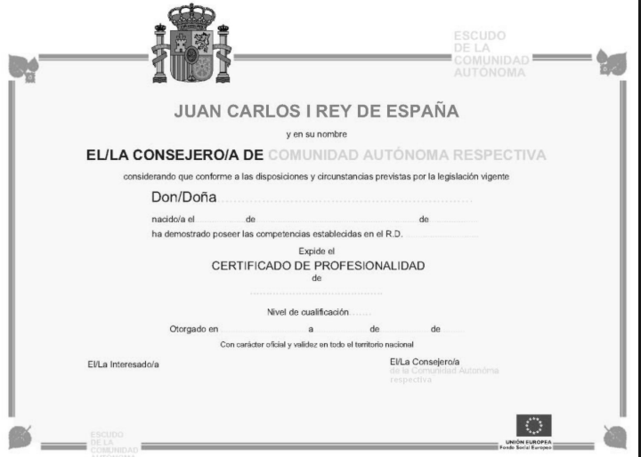 Modelo de certificado de estudios realizados